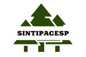 sintipacesp logo 2024